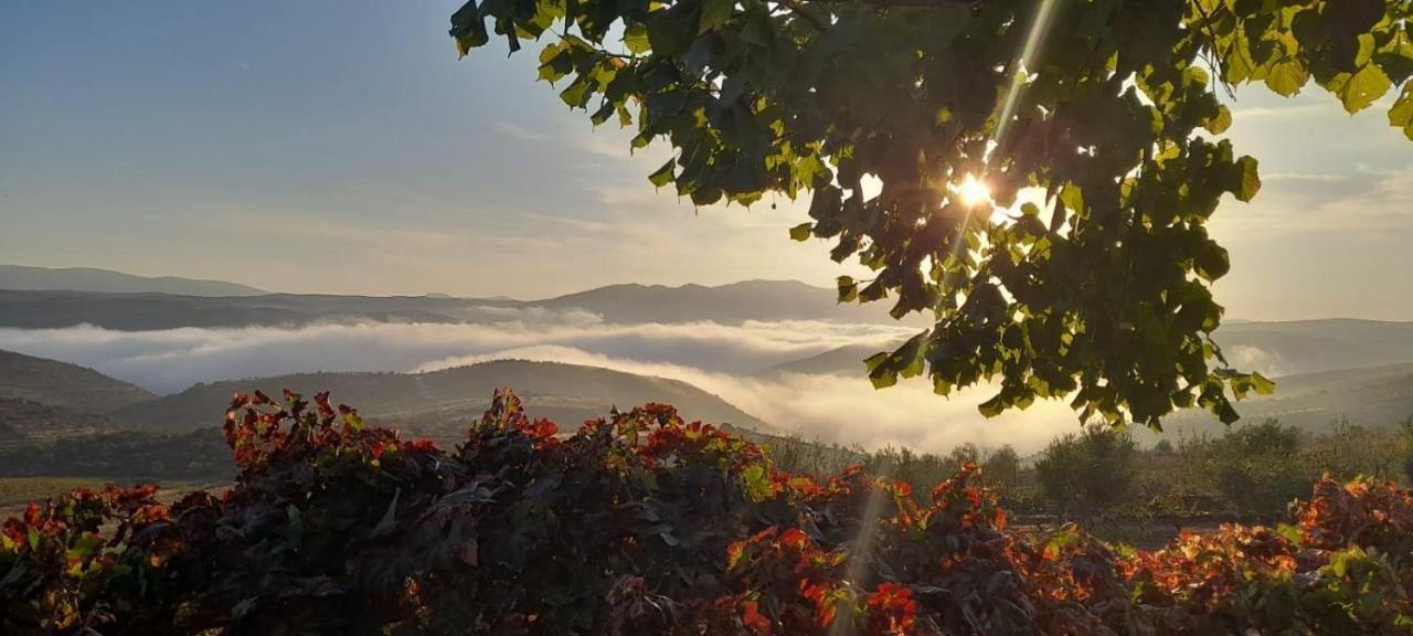 빌라 노바 데 포즈코아 Quinta Alto Da Fraga 빌라 외부 사진