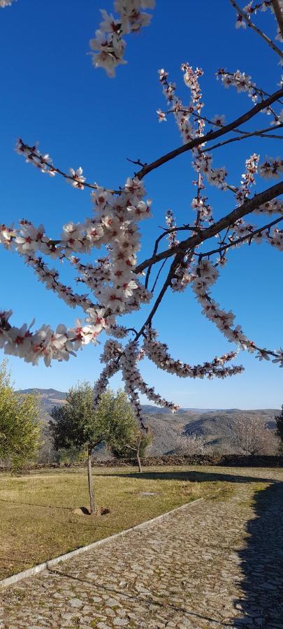 빌라 노바 데 포즈코아 Quinta Alto Da Fraga 빌라 외부 사진