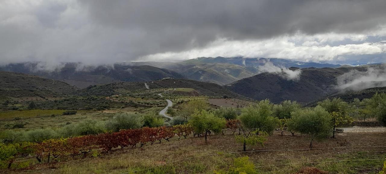 빌라 노바 데 포즈코아 Quinta Alto Da Fraga 빌라 외부 사진