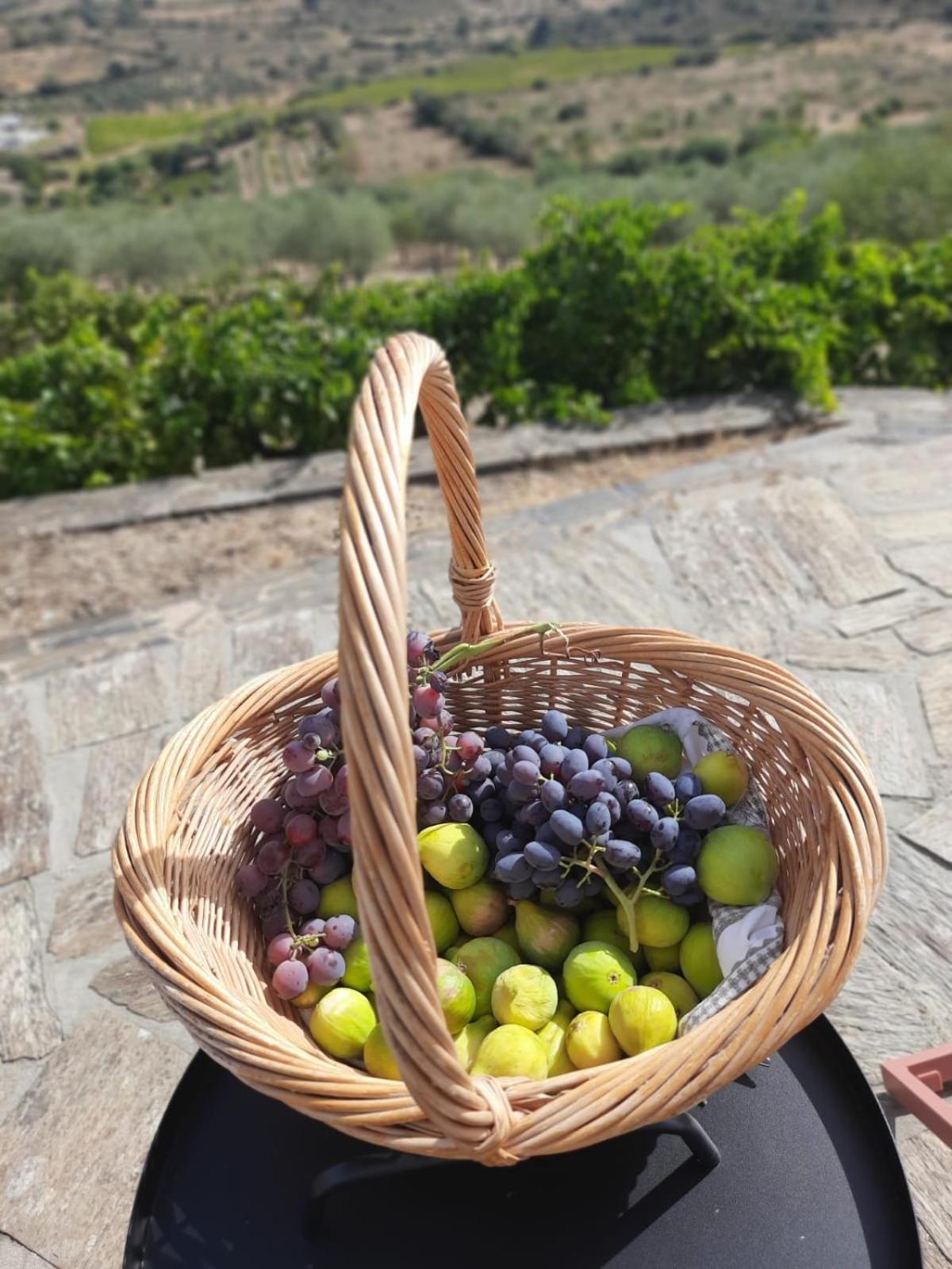 빌라 노바 데 포즈코아 Quinta Alto Da Fraga 빌라 외부 사진